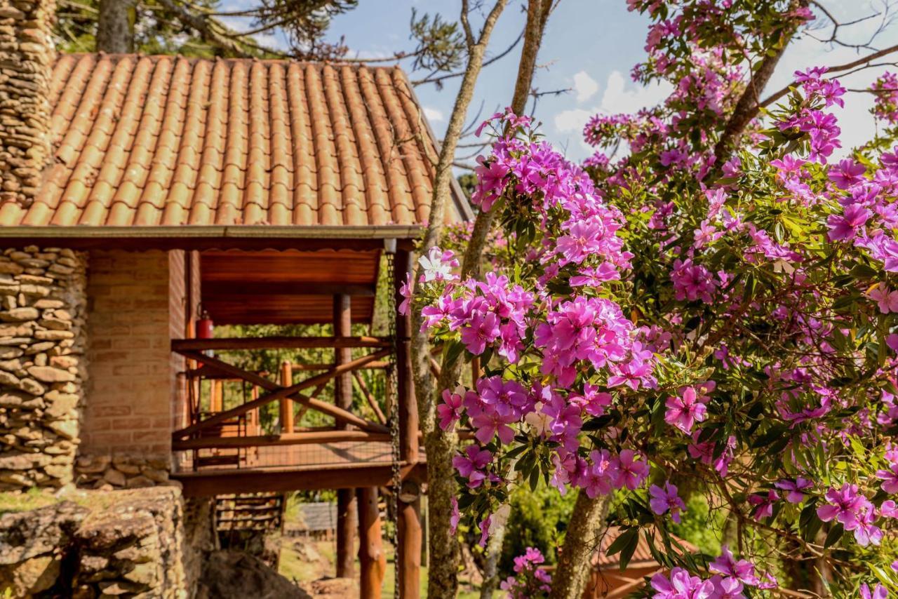 Chales Araucaria E Manaca เซาเบนโตโดซาปูไค ภายนอก รูปภาพ