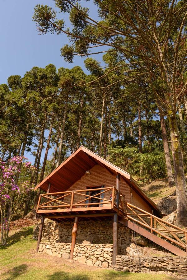 Chales Araucaria E Manaca เซาเบนโตโดซาปูไค ภายนอก รูปภาพ