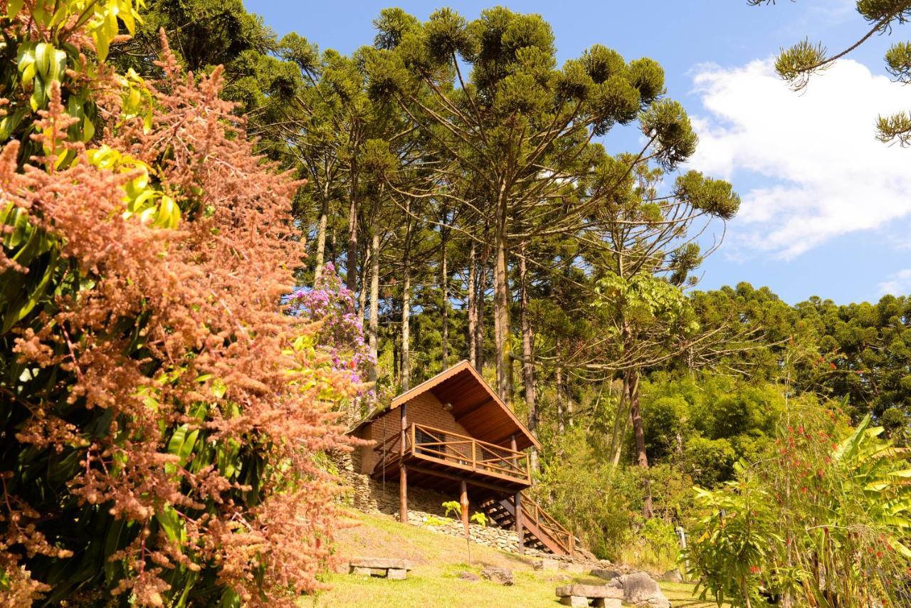 Chales Araucaria E Manaca เซาเบนโตโดซาปูไค ภายนอก รูปภาพ