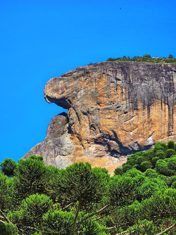 Chales Araucaria E Manaca เซาเบนโตโดซาปูไค ภายนอก รูปภาพ