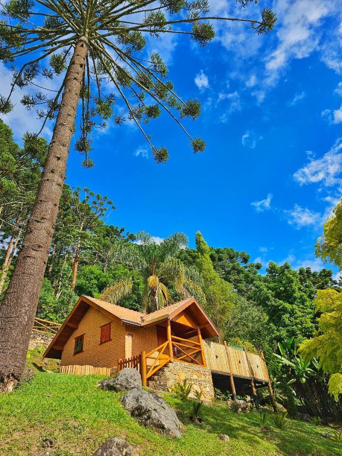 Chales Araucaria E Manaca เซาเบนโตโดซาปูไค ภายนอก รูปภาพ