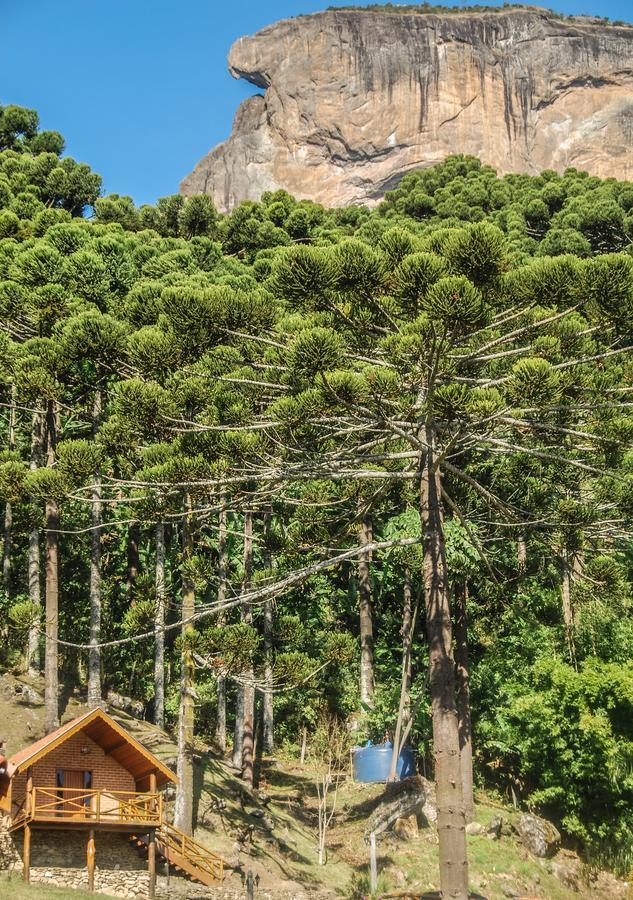 Chales Araucaria E Manaca เซาเบนโตโดซาปูไค ภายนอก รูปภาพ