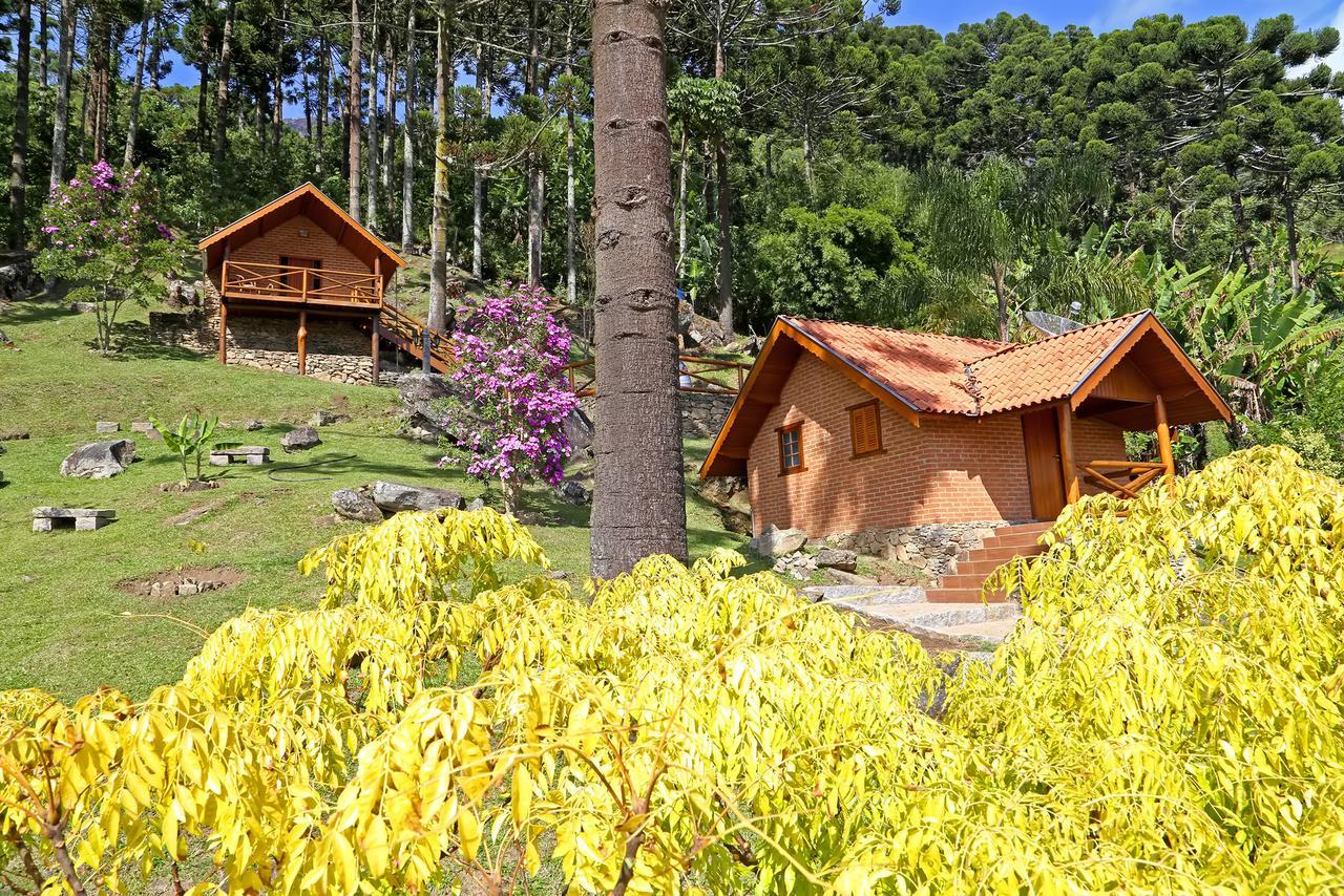 Chales Araucaria E Manaca เซาเบนโตโดซาปูไค ภายนอก รูปภาพ